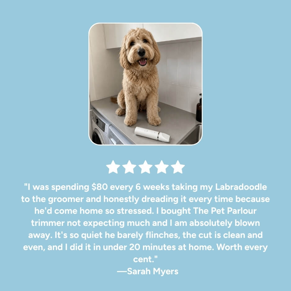 The Pet Parlour™ Premium 4-in-1 Grooming Kit
