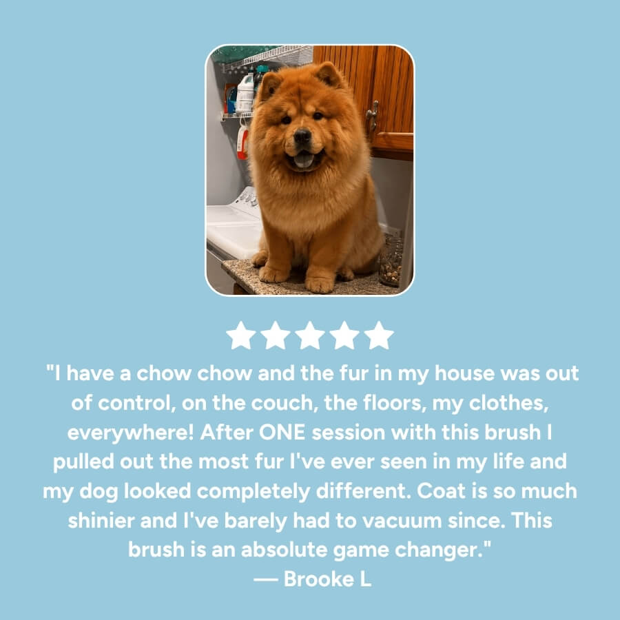 The Pet Parlour™ Premium Deshedding Brush